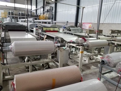 Analiză aprofundată a industriei mica